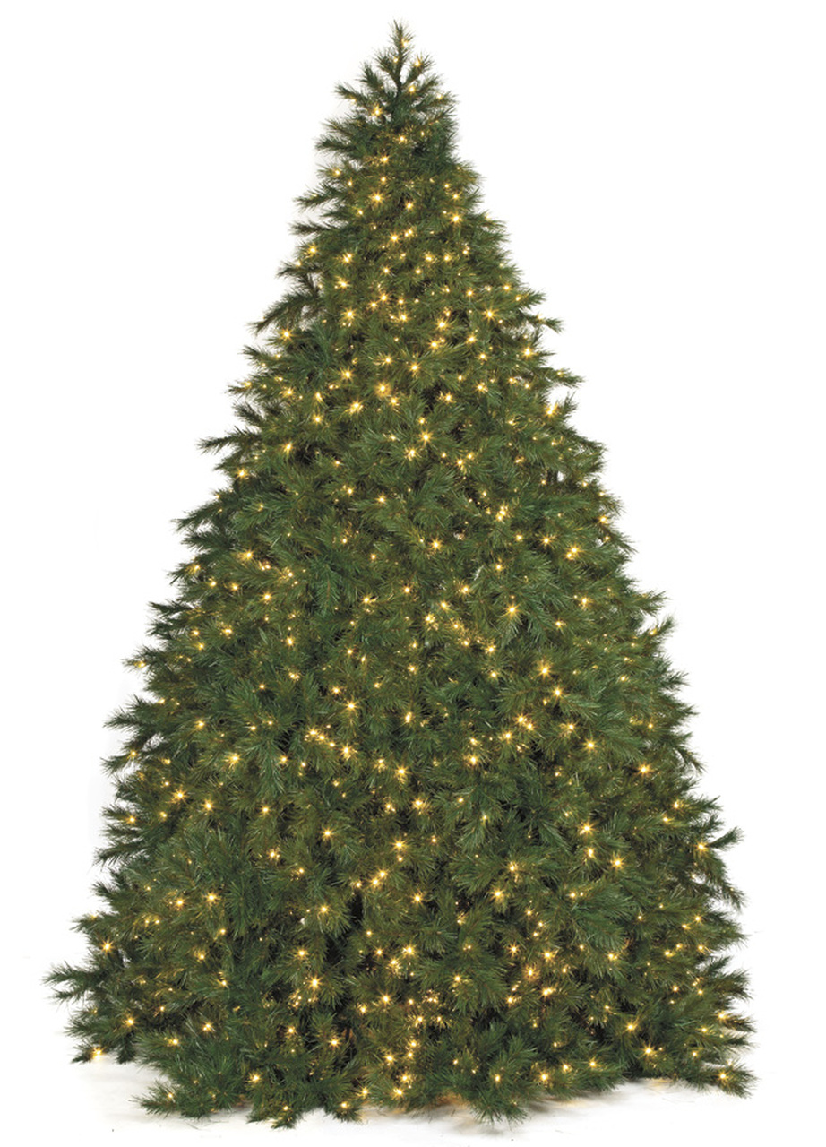 24 foot Commercial Pine Tree Multi Colored 11900 LED Lights